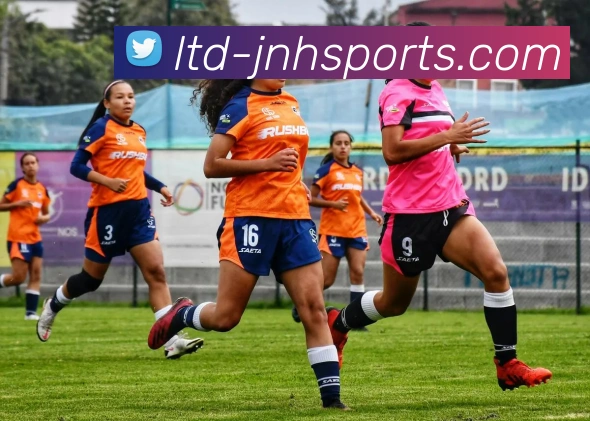 体育下注平台生态图