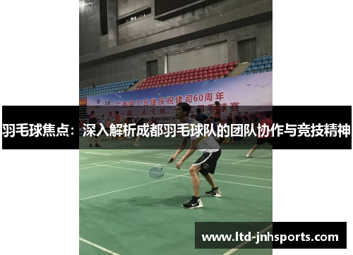 羽毛球焦点：深入解析成都羽毛球队的团队协作与竞技精神